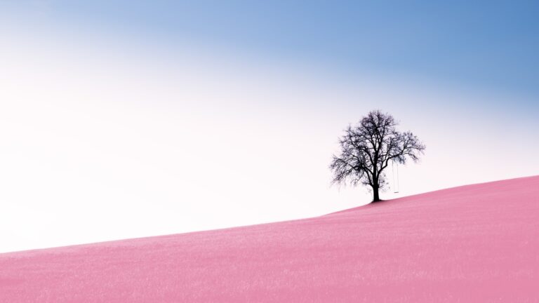 Ut non risus consequat, scelerisque lacus quis, fermentum elit